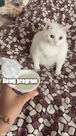 5w2qmh.gif