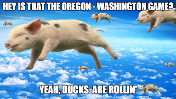 image.thumb.png.e734e4dbd843a86e5c00d7f5d5c5cd5c.png