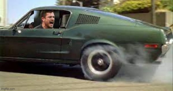 61qj9d.jpg