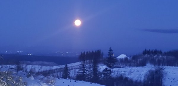 20220415_055504.jpg