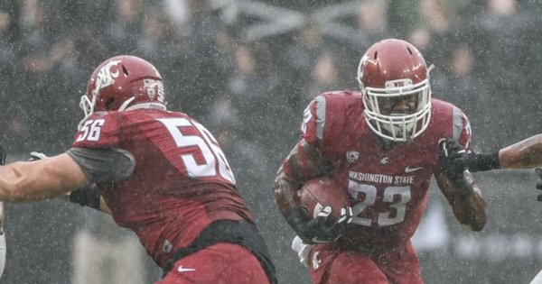 WSU 2015_Kevin Cline.jpg