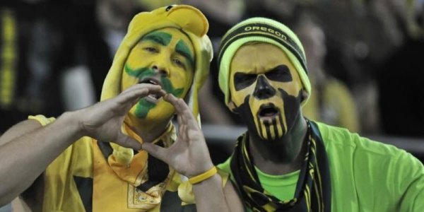 Fans_KC_FP (3).jpg