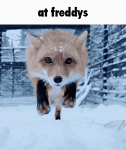 image.thumb.gif.f747c001be53886501b7e828a9090eba.gif