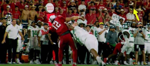 Pass became a lame Duck_Screenshot from GoDucks.com Video.jpg