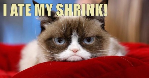 i-ate-my-shrink.thumb.jpeg.5b6e1170760b249a869b16f81436bc21.jpeg