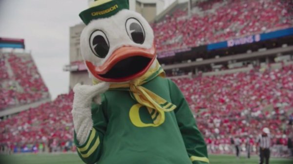 Call the Duck_Fox Sports Video.jpg