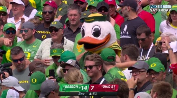 Fans love the Duck_Fox Sports Video.jpg