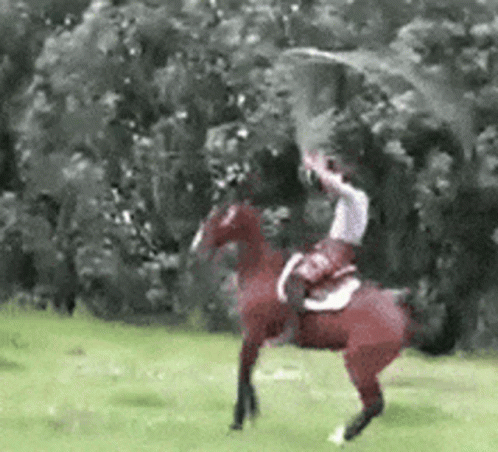 image.gif